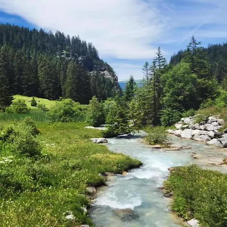 Appartement Cozy Alpine *